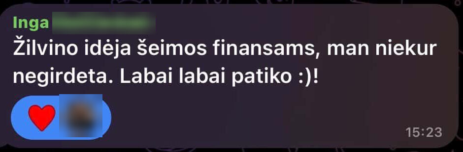 Žilvino idėja šeimos finansams, man niekur negirdėta. Labai labai patiko.